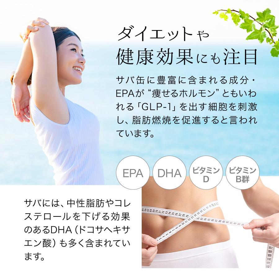 父の日 2026 ギフト 世界の鯖料理 サバロード 温めるだけ レトルト 魚 鯖 惣菜 選べる 6種12袋 さば サバ 鯖缶 サバ缶 調理済 時短 ((常温))_13