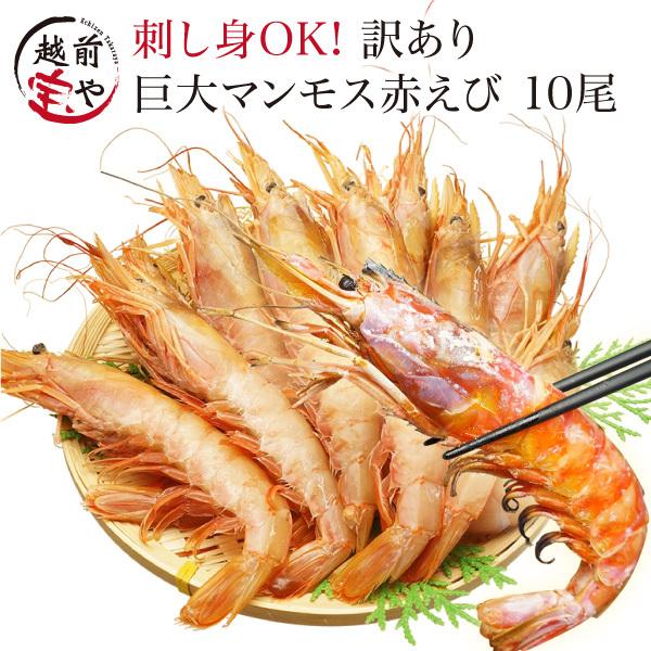 赤エビ 特大 赤海老 刺身 アルゼンチン赤エビ 10尾 海鮮バーベキュー BBQ えび エビ 海老 ((冷凍))｜etizentakaraya