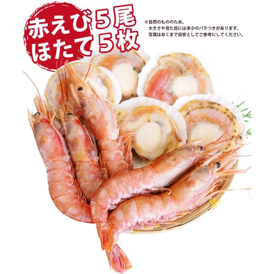 海鮮バーベキュー 2種 生 赤えび 5尾 ほたて 5枚 セット 2 4人前 ギフト 海鮮鍋 海鮮バーベキュー 福袋 生 海鮮丼 おせち バーベキュー q 冷凍 q2 24 福井のカニ 干物専門店 越前宝や 通販 Yahoo ショッピング