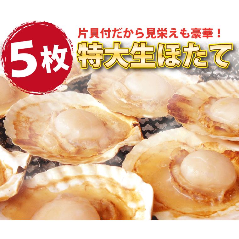 海鮮バーベキューセット 赤エビ 5尾 ホタテ 殻付き 5枚 牡蠣 400ｇ (3-5人前) 海鮮セット 海鮮福袋 BBQ バーベキュー お取り寄せ 海鮮鍋 海鮮おせち ((冷凍))｜etizentakaraya｜07