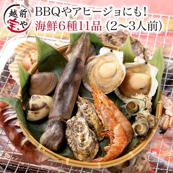 海鮮バーベキュー 6種 11品 約2 3人前 バーベキュー アヒージョ 海鮮 q 海鮮セット 盛り合わせ かき えび ほたて さざえ いか はまぐり 冷凍 送料無料 q6 1 福井のカニ 干物専門店 越前宝や 通販 Yahoo ショッピング