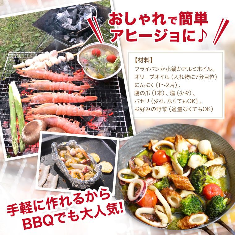 越前宝や 海鮮バーベキュー 6種11品 (約2-3人前)1P BBQ バーベキュー