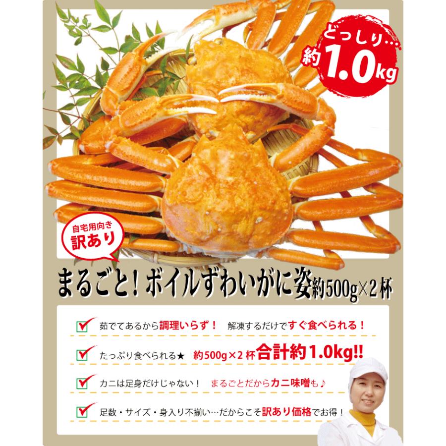 越前宝や ズワイガニ姿 特大 ズワイガニ ボイル 2杯 (1杯約500g) ず