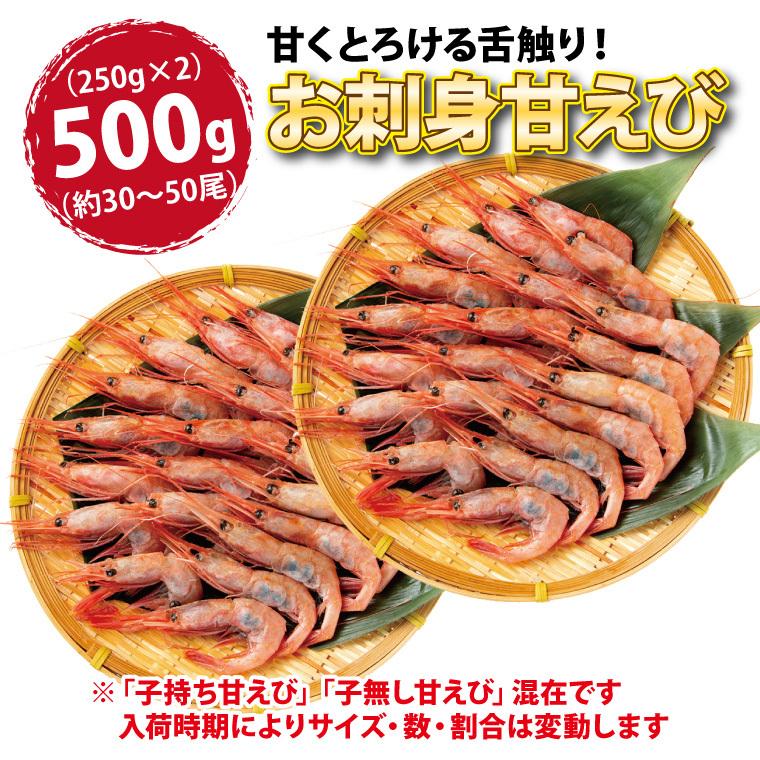 甘エビ 刺身 500g（250g×2) 30-50尾 甘えび 甘海老 あまえび 冷凍 子持ち 子無し サイズ不揃い 福井産 えび 海老 ((冷凍))｜etizentakaraya｜09