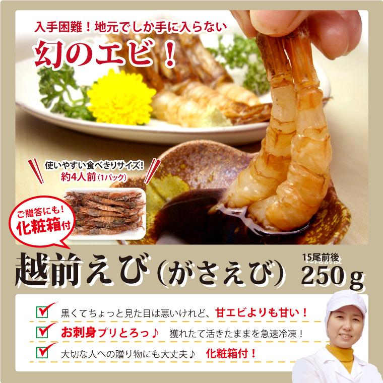 越前えび がさえび 250g 15尾前後 刺身用 がらえび ざこえび がすえび とらえび 越前 日本海産 エビ 海老 冷凍 Gasaebi250 福井のカニ 干物専門店 越前宝や 通販 Yahoo ショッピング