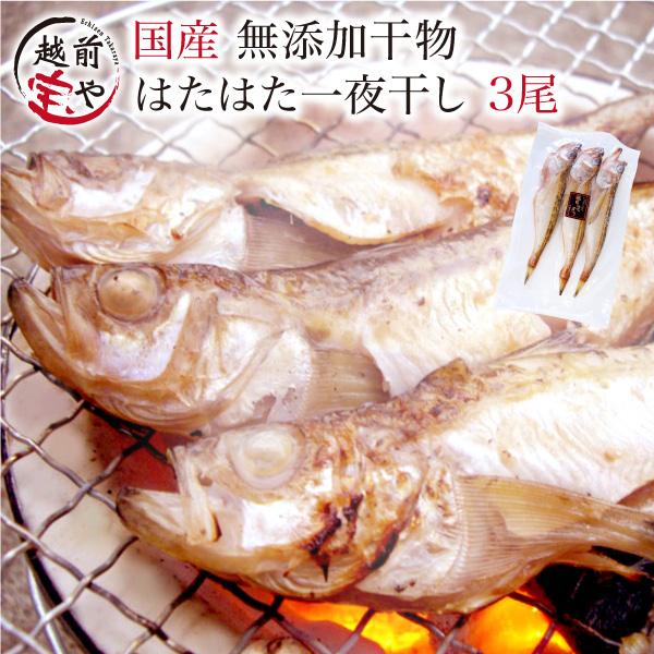 新作製品 世界最高品質人気 干物 ハタハタ はたはた 鰰 3尾 1パック 真空パック 一夜干し 冷凍 Materialworldblog Com