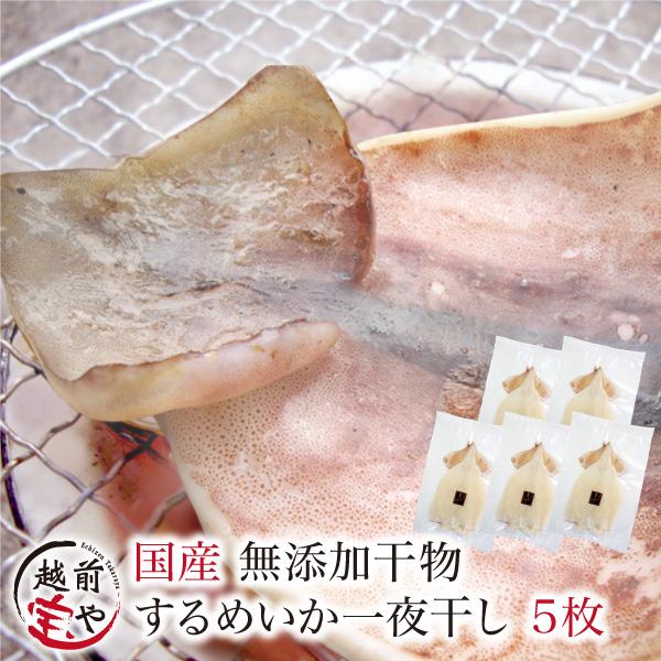 干物 越前産 イカ いか スルメイカ 5枚 干物セット 真空パック 一夜干し するめいか 冷凍 H Ika01 福井のカニ 干物専門店 越前宝や 通販 Yahoo ショッピング
