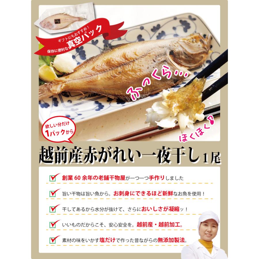 カレイ 「赤かれい→白かれいに変更」 干物 1枚×1パック カレイの干物 鰈 干物セット 真空パック 一夜干し 一夜干し魚 一夜干しセット ((冷凍))｜etizentakaraya｜02