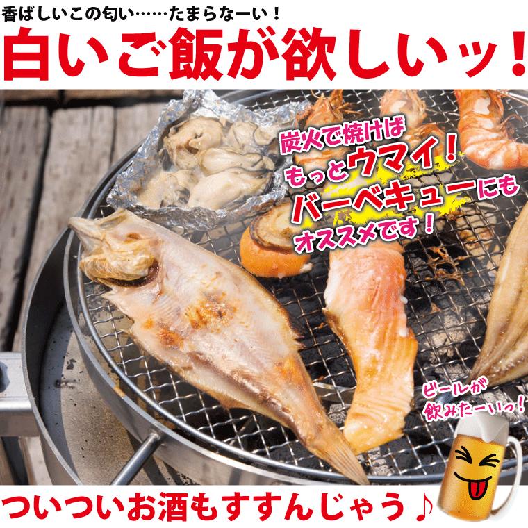 干物 越前産 カレイ 1枚入り 真空パック 一夜干し 冷凍 H K01 1 福井のカニ 干物専門店 越前宝や 通販 Yahoo ショッピング