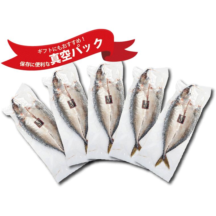 さば 干物 1尾×5パック サバ 鯖 干物セット 真空パック 一夜干し 一夜干し魚 一夜干しセット ((冷凍))｜etizentakaraya｜04