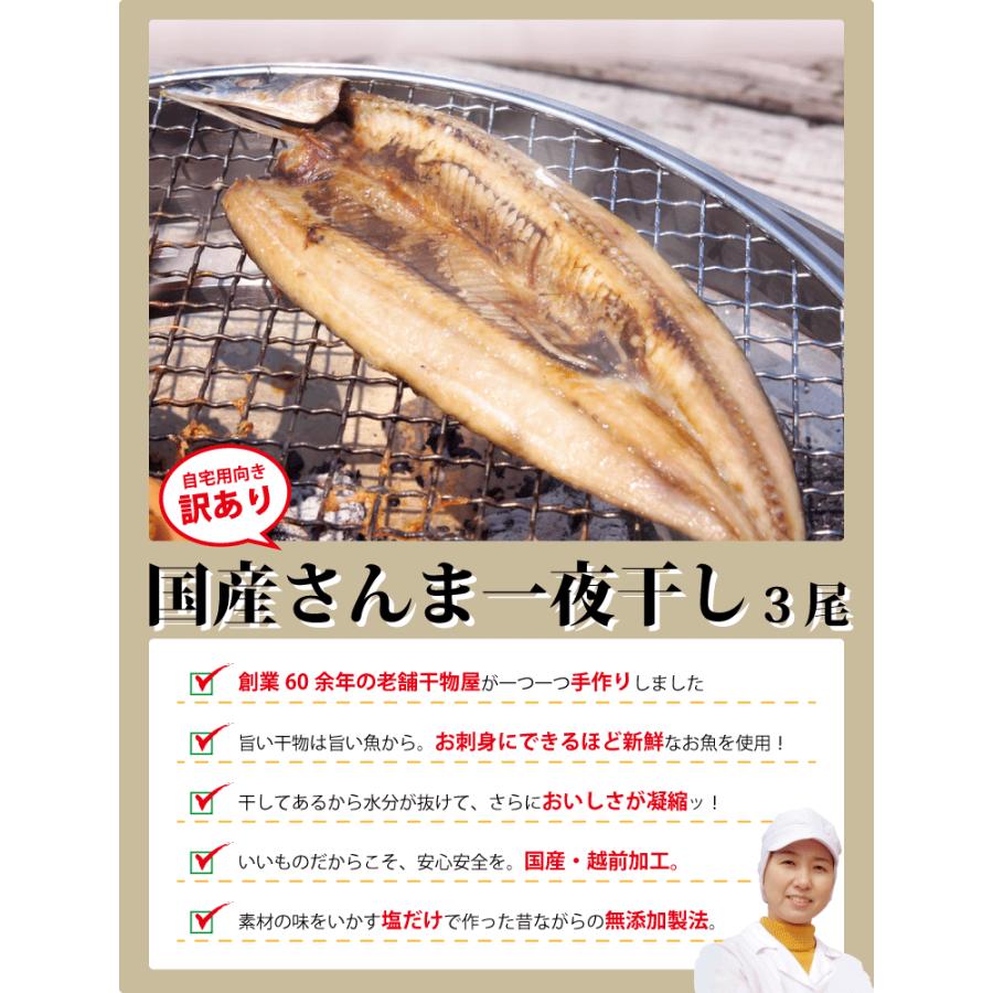 干物 さんま サンマ 秋刀魚 開き 一夜干し 干物セット 3尾入 訳あり 冷凍 H Sanma3 福井のカニ 干物専門店 越前宝や 通販 Yahoo ショッピング