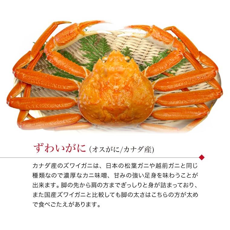 甲羅盛り ズワイガニ (カナダ産)3個 セット 甲羅盛 ずわい蟹 ボイル カニ丼 カニ丼の具 ((冷凍))｜etizentakaraya｜05