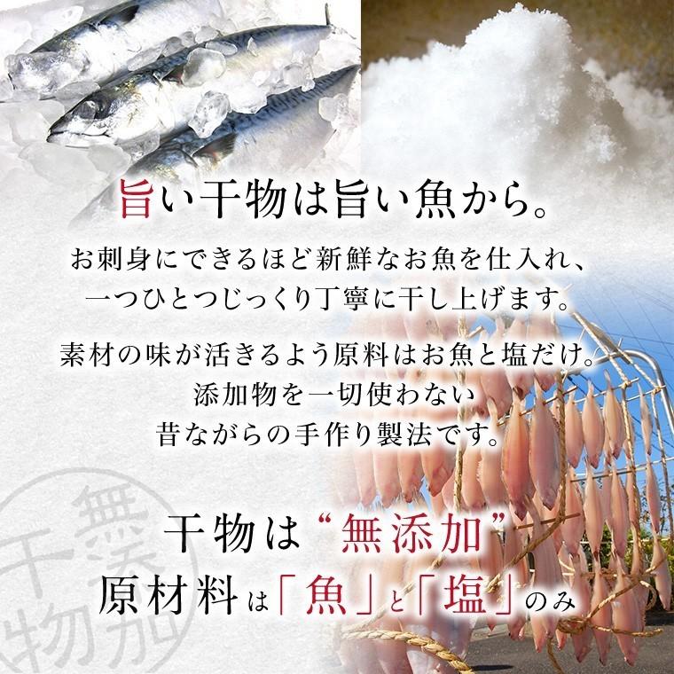 特大 サバ 干物 1尾 巨大 キング さば 鯖 干物セット 真空パック 一夜干し 一夜干し魚 一夜干しセット ((冷凍))｜etizentakaraya｜09