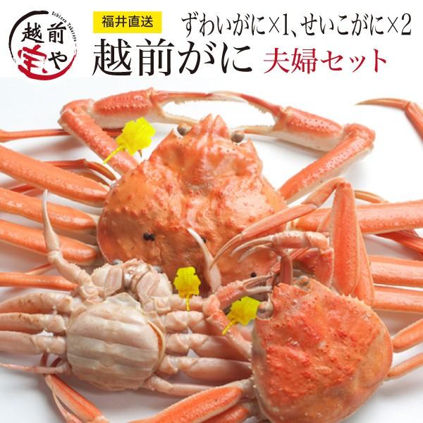 税込 産地直送 冷蔵 1g 2 300g 1 セイコガニ ズワイガニ 11 25までのお届け 割引31 0円 越前ガニ 越前蟹 レビューを書くだけでかにスプーンプレゼント カニ