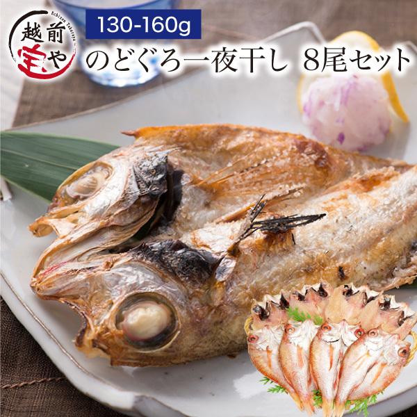 のどぐろ 魚 干物  130-160g×8枚 セット ノドグロ 干物セット 無添加 一夜干し魚 ((冷凍)) プレゼント ギフト｜etizentakaraya