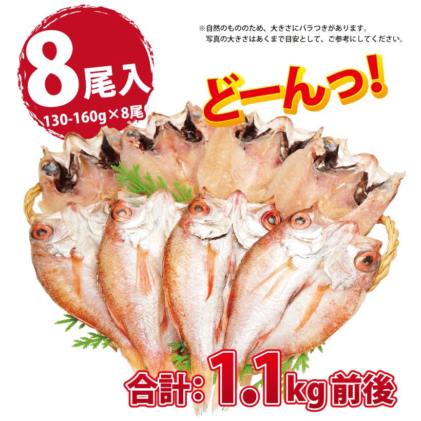のどぐろ 魚 干物  130-160g×8枚 セット ノドグロ 干物セット 無添加 一夜干し魚 ((冷凍)) プレゼント ギフト｜etizentakaraya｜04