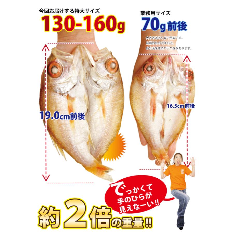 のどぐろ 魚 干物  130-160g×8枚 セット ノドグロ 干物セット 無添加 一夜干し魚 ((冷凍)) プレゼント ギフト｜etizentakaraya｜05
