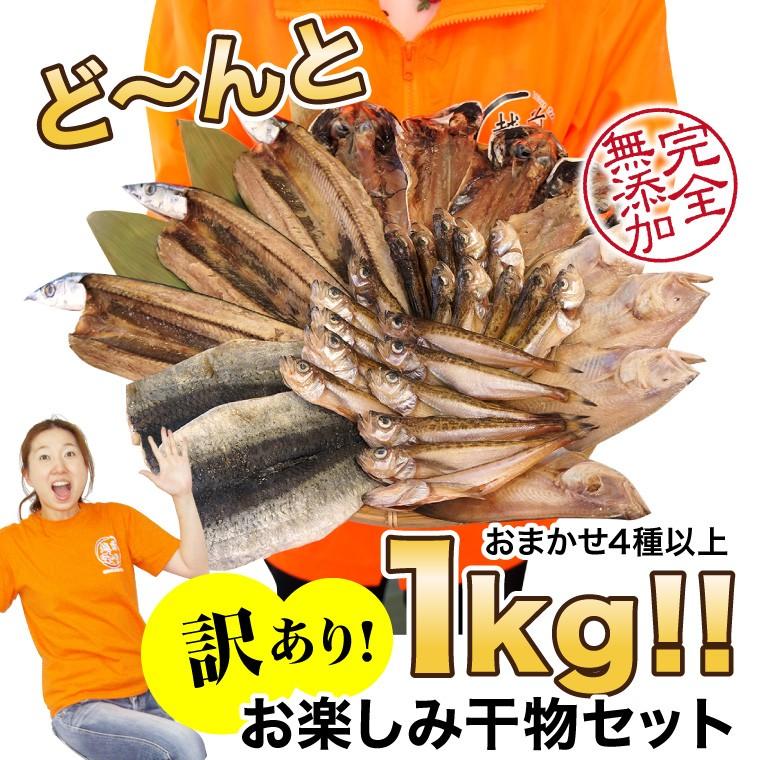 越前宝や 干物 訳あり おまかせ 1kg 4種以上 (2箱で送料無料+1 越前宝や 干物 訳あり おまかせ 1kg 4種以上 (2箱で送料無料+1