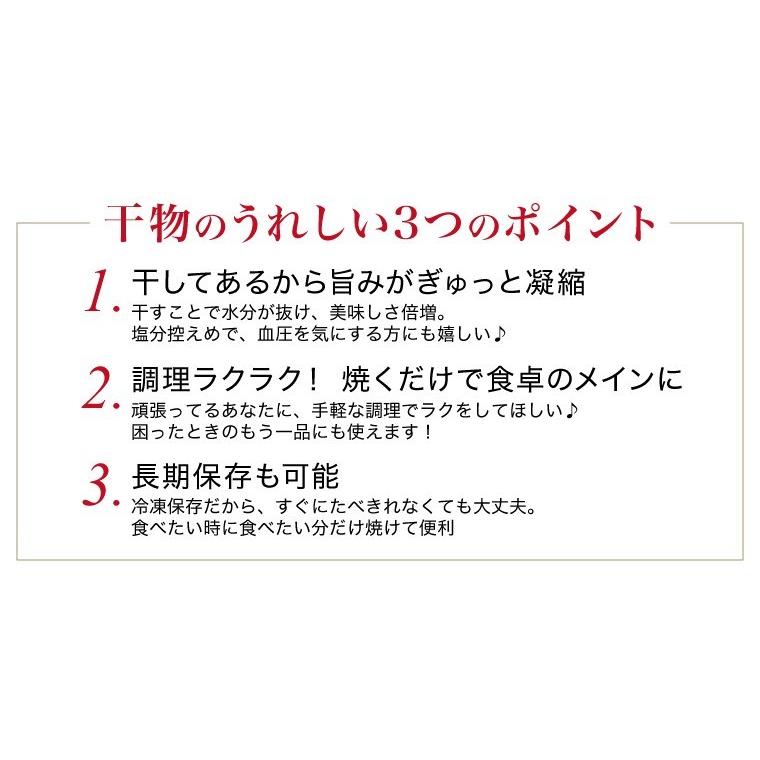 干物 訳あり おまかせ 1kg 4種以上 (2セットで送料無料+1セットおまけ)  取り寄せ 西京漬け 身割れ 尾なし等 一夜干し 魚  ((冷凍))｜etizentakaraya｜13