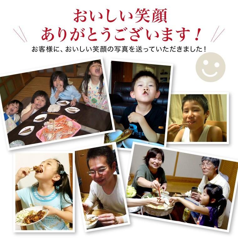 干物 訳あり おまかせ 1kg 4種以上 (2セットで送料無料+1セットおまけ)  取り寄せ 西京漬け 身割れ 尾なし等 一夜干し 魚  ((冷凍))｜etizentakaraya｜18