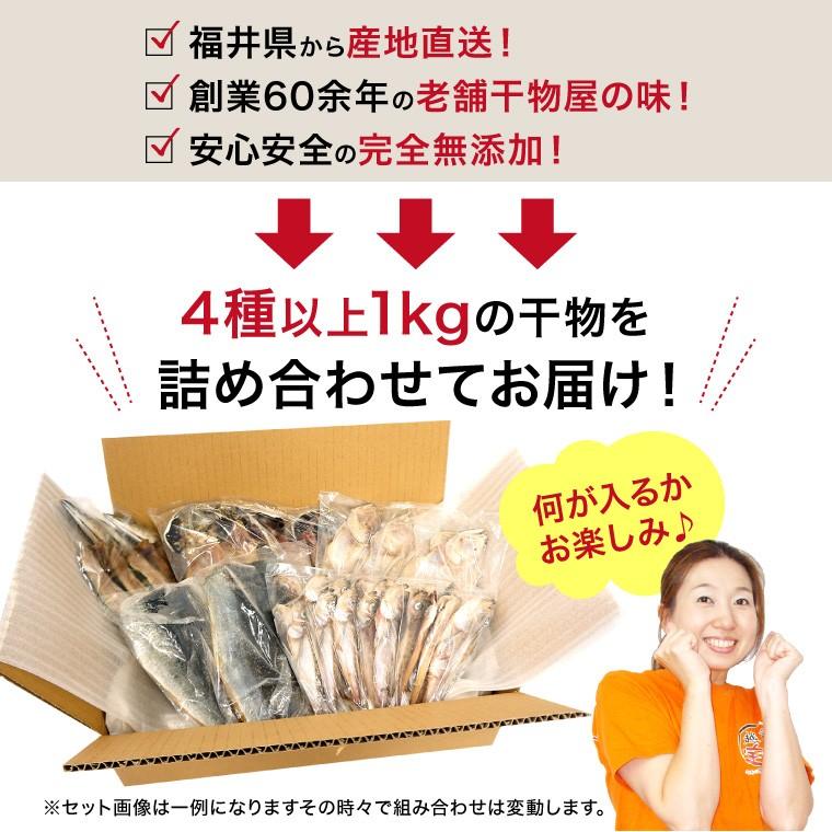 干物 訳あり おまかせ 1kg 4種以上 (2セットで送料無料+1セットおまけ)  取り寄せ 西京漬け 身割れ 尾なし等 一夜干し 魚  ((冷凍))｜etizentakaraya｜03