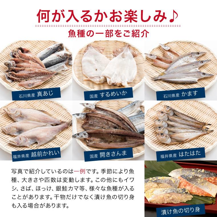 干物 訳あり おまかせ 1kg 4種以上 (2セットで送料無料+1セットおまけ)  取り寄せ 西京漬け 身割れ 尾なし等 一夜干し 魚  ((冷凍))｜etizentakaraya｜06