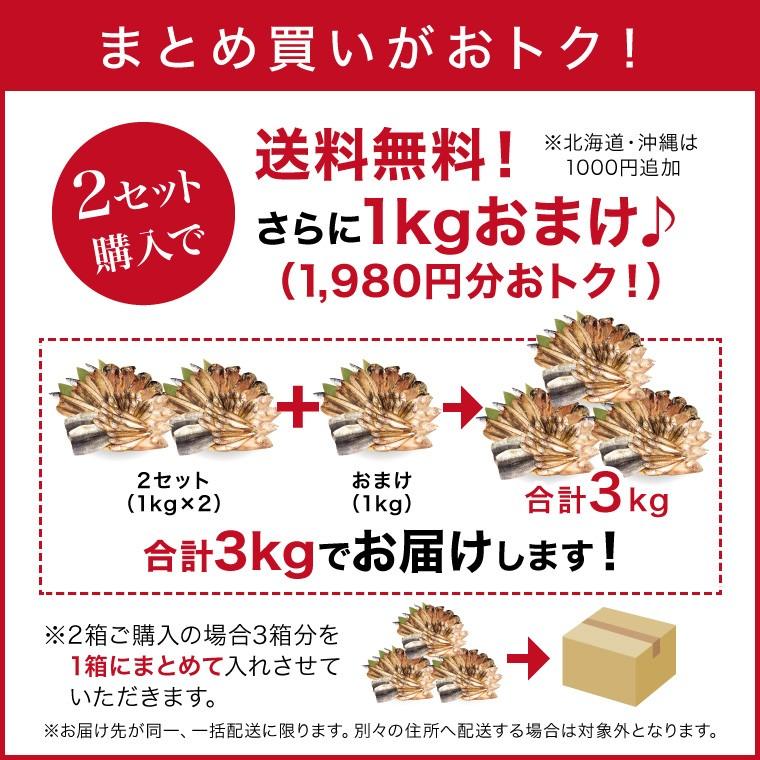 干物 訳あり おまかせ 1kg 4種以上 (2セットで送料無料+1セットおまけ)  取り寄せ 西京漬け 身割れ 尾なし等 一夜干し 魚  ((冷凍))｜etizentakaraya｜08