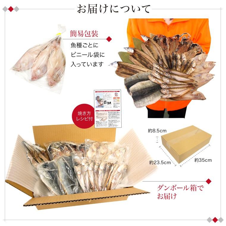 干物 訳あり おまかせ 1kg 4種以上 (2セットで送料無料+1セットおまけ)  取り寄せ 西京漬け 身割れ 尾なし等 一夜干し 魚  ((冷凍))｜etizentakaraya｜10