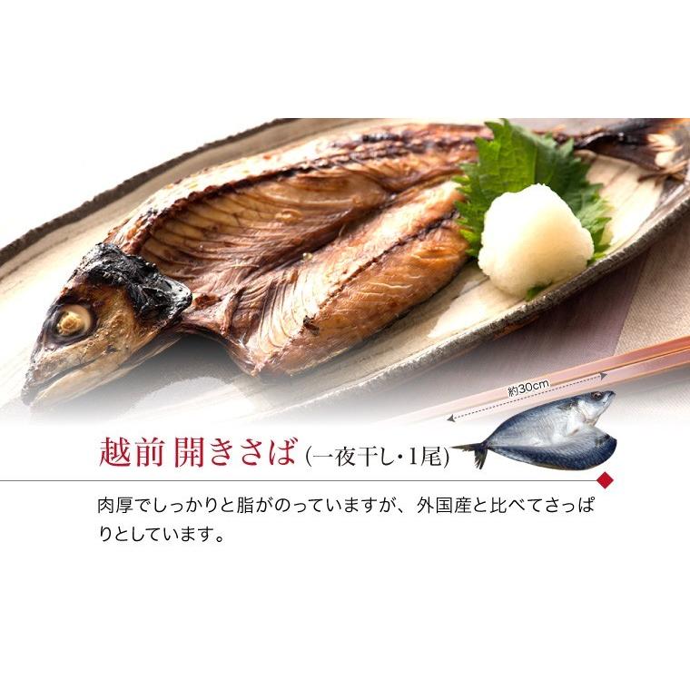 干物 5種7枚 のどぐろ 魚 干物 入＋ 西京漬け 2種(赤魚 さば) ((冷凍)) お取り寄せ 一夜干し魚 プレゼント ギフト｜etizentakaraya｜13