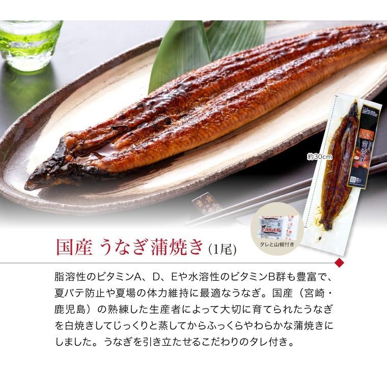 お歳暮 2024 ギフト うなぎ 蒲焼 1尾 + 煮魚 焼き魚 4種16切 焼魚 レンジで温めるだけ 詰め合わせ 魚 湯煎 時短  ((冷凍)) 国産 鰻 プレゼント