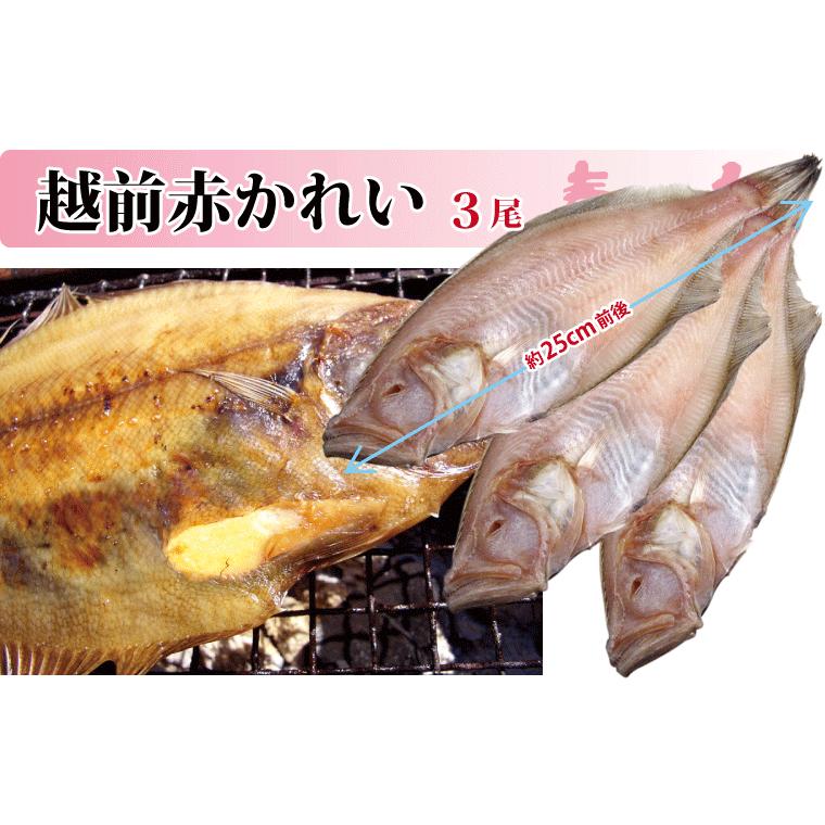 ギフト 春の旬 干物 4種8尾 味噌漬け 赤魚 さば 西京漬け 2種 甘エビ 一夜干し セット 越前産 冷凍 プレゼント S Spr3 福井のカニ 干物専門店 越前宝や 通販 Yahoo ショッピング