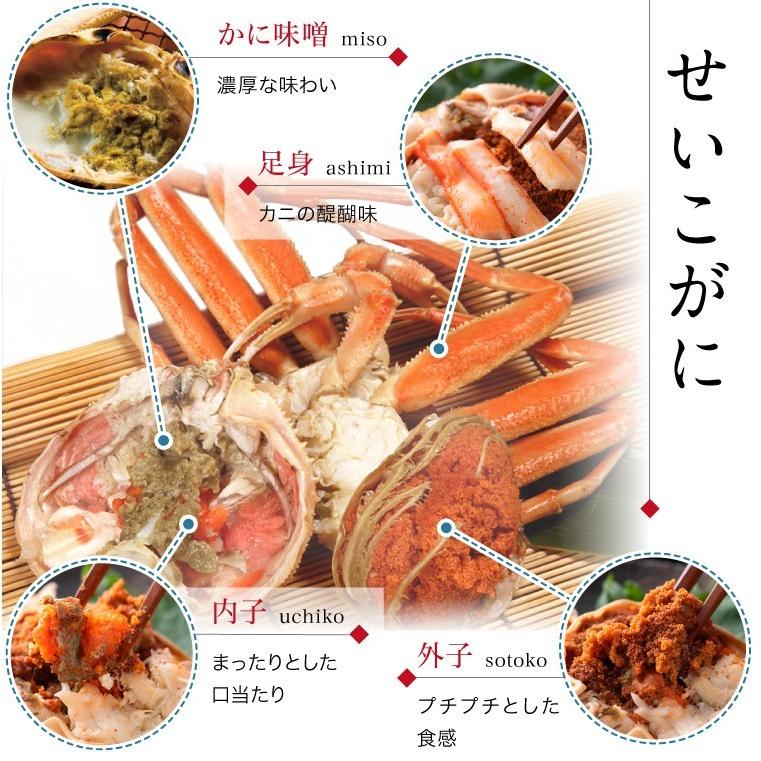蟹漁解禁 香箱蟹 せいこ お試し 訳あり 5匹 詰め合わせ 浜茹で 産地直送 お取寄せ 送料無料 Koubako Asiore 6 加賀 橋立港 マルヤ水産 通販 のとコム 店 送料無料 能登半島 香箱蟹 甲箱蟹 こうばこがに 10杯セット Zahnarzt Franz De