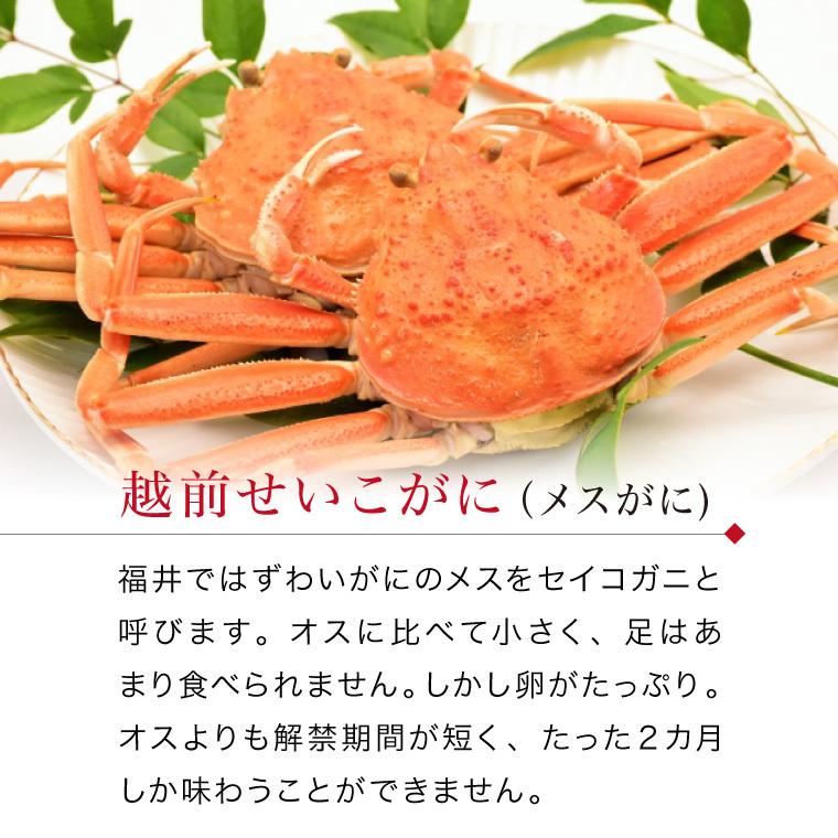 越前ガニ かに カニ セイコ 香箱 24 000円コース 2杯 3杯 4杯 5杯 冷蔵 Seiko 8000 福井のカニ 干物専門店 越前宝や 通販 Yahoo ショッピング