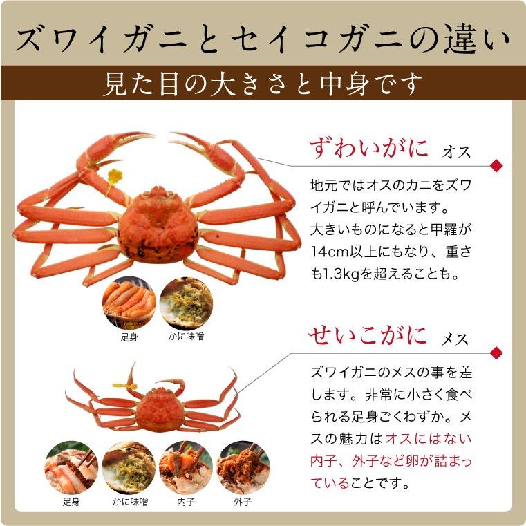 甲羅盛り セイコガニ 1個(単品) 香箱ガニ 甲羅盛 カニ 海鮮丼 せいこがに ボイル かに丼 カニ丼 ((冷凍))｜etizentakaraya｜05