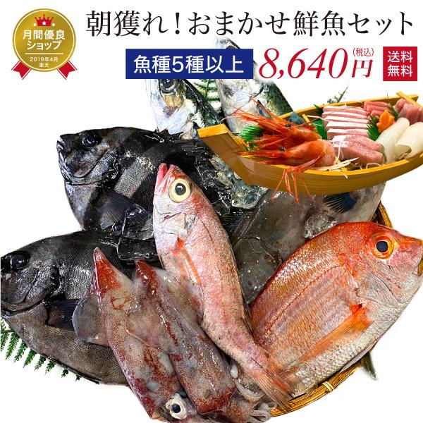 安い購入 鮮魚 おまかせ 5種以上 魚 詰め合わせ セット 舟盛り容器同梱可 ボックス Box 国産 直送 干物作り 干物体験 手作り干物 冷蔵 超目玉 Studiostodulky Cz