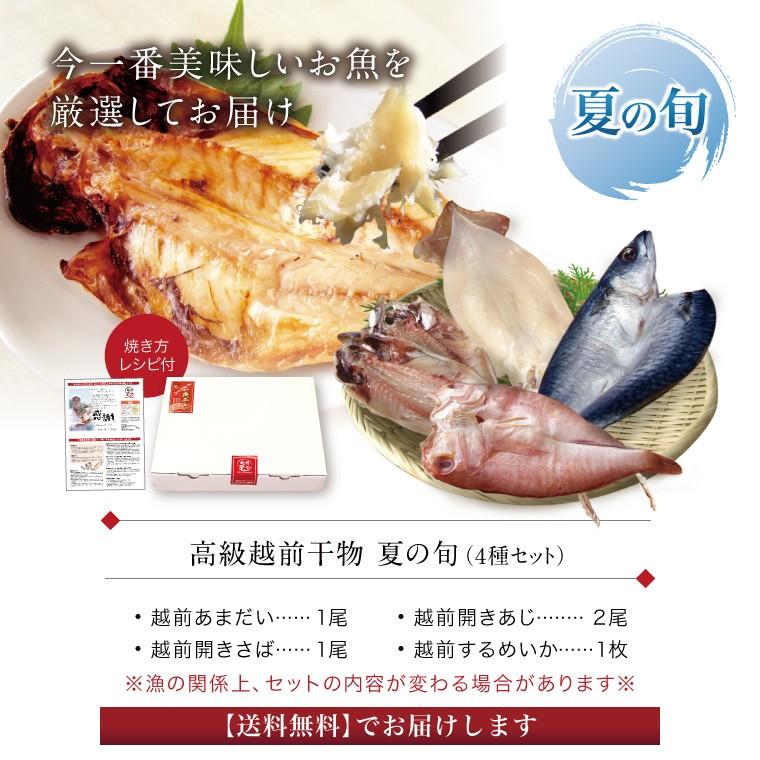 プレゼント ギフト 食品 干物 セット 夏 旬 越前産 4種5尾 送料無料 一夜干し 冷凍 内祝 誕生日 Shun Summer 福井のカニ 干物専門店 越前宝や 通販 Yahoo ショッピング
