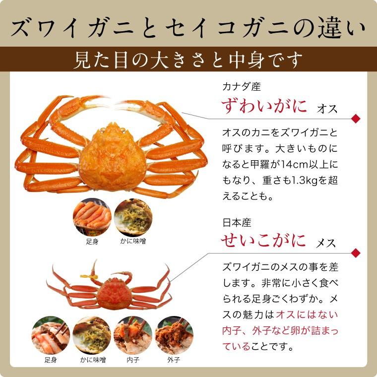 入荷後随時発送 カニ 甲羅盛り 食べ比べ カナダ産 ズワイガニ 4個 日本産 セイコガニ 4個 セット かに 蟹 せいこがに 冷凍 Tabe Kora4 福井のカニ 干物専門店 越前宝や 通販 Yahoo ショッピング