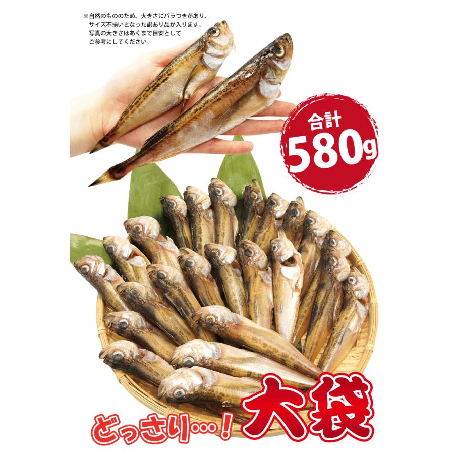 干物 ハタハタ はたはた 鰰 580g 大袋 干物セット 一夜干し 訳あり 冷凍 Wake Hata600 福井のカニ 干物専門店 越前宝や 通販 Yahoo ショッピング