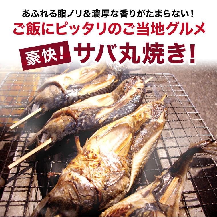 焼きサバ 焼き鯖 焼き鯖寿司 福井 焼鯖 やきさば 浜焼きさば 丸焼きサバ 1尾全長約30cm ギフト 冷凍 Yakisaba 1 福井のカニ 干物専門店 越前宝や 通販 Yahoo ショッピング