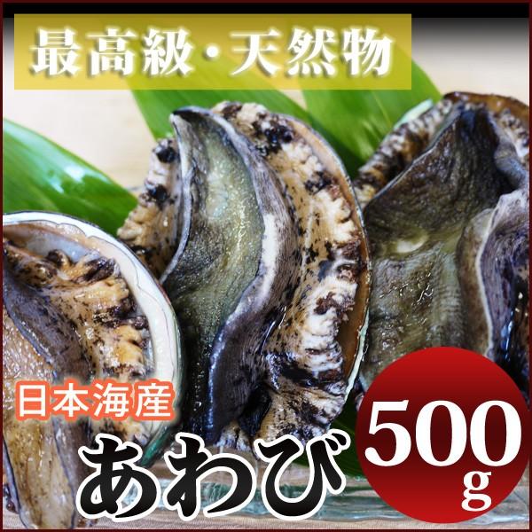 激安通販の 天然の日本海産あわび アワビ 500g 新鮮 海の幸 最高級の天然アワビ 福井県産 獲れたてを産地直送 冷蔵 ギフト 御歳暮 御中元 貝類 Ja Kitakyu Or Jp