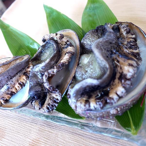 激安通販の 天然の日本海産あわび アワビ 500g 新鮮 海の幸 最高級の天然アワビ 福井県産 獲れたてを産地直送 冷蔵 ギフト 御歳暮 御中元 貝類 Ja Kitakyu Or Jp