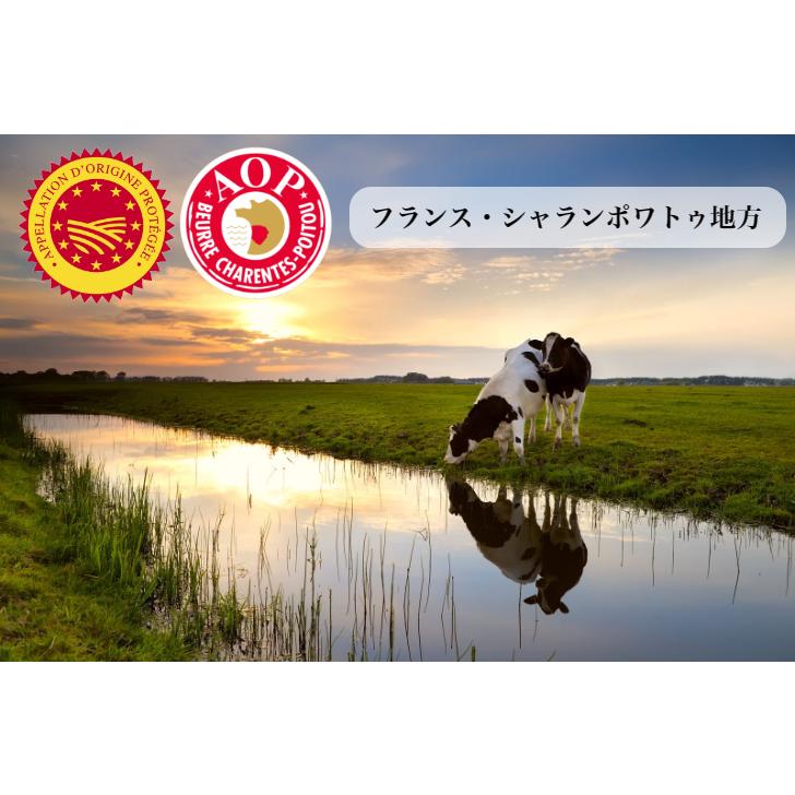 コフレ・カドゥー・ラ・コンビエット１０P 【フィーリンきっちんで紹介されました】 |  | 05