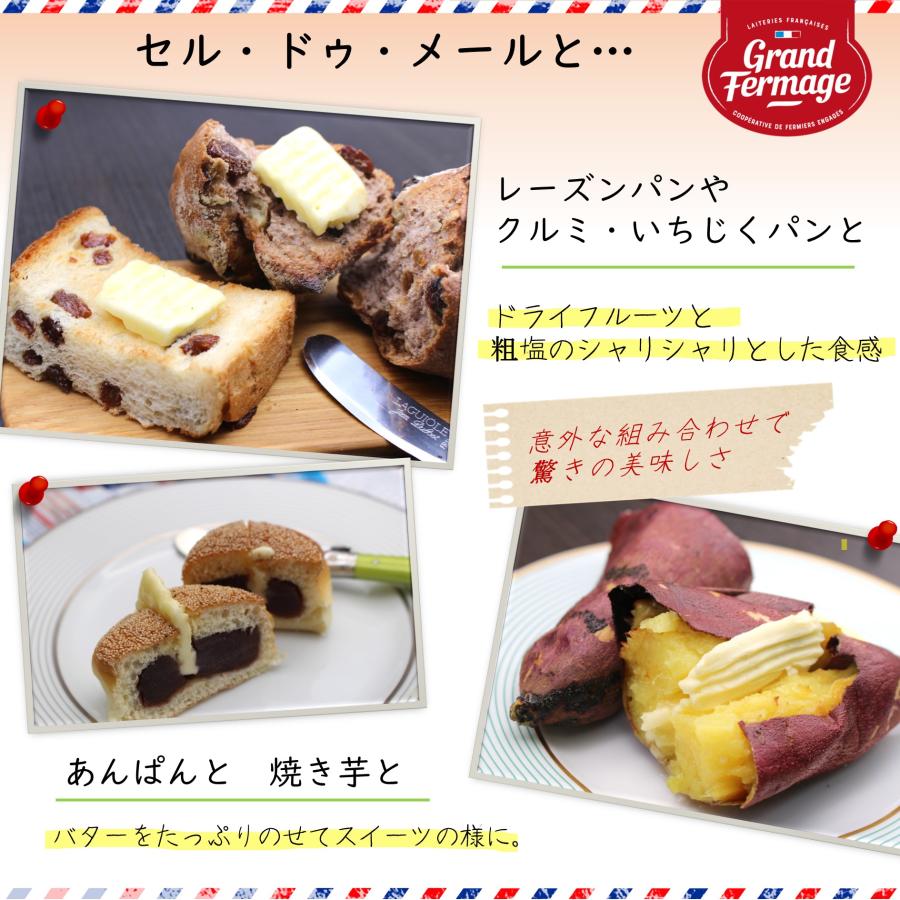 フランス産発酵バター セル・ドゥ・メール２５０ｇ 海塩の結晶入り　有塩バター |  | 02