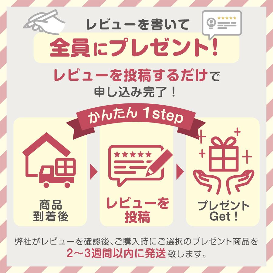 今だけ☆レビューで特典配布中] ウォールポケット 透明 特大 ポケット