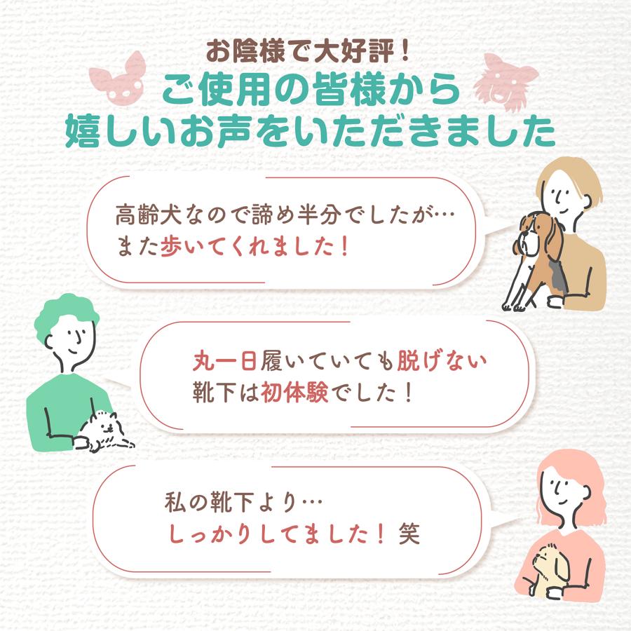 [今だけ★レビューで特典配布中★] 犬 靴下 滑り止め 脱げない マジックテープ 傷舐め防止 ペット 犬用 犬靴下 犬用靴下 犬の靴下 老犬 シニア フローリング |  | 08