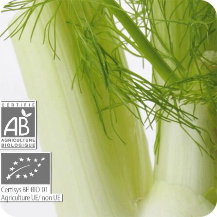 プラナロム（PRANAROM） プラナロム【正規品】 フェンネル 10ml p-73