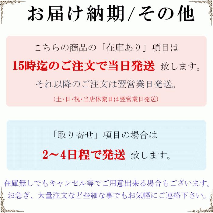 メール便送料無料 アイシャドウ アイシャドー 赤 レッド オレンジ マット ラメ キラキラ チーク ハイライト シェイディング プロ用 日本製 化粧品｜etoilekobe｜24