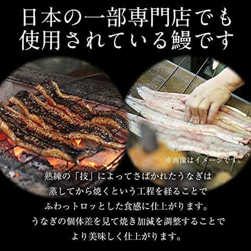 食品 松屋 22食セット 『ふわぁとろうなぎ2枚と牛めしの具20食セット』牛めしの具プレミアム仕様20食＆鰻カット2人前 160ｇ(80g×2｜etotvil2｜10