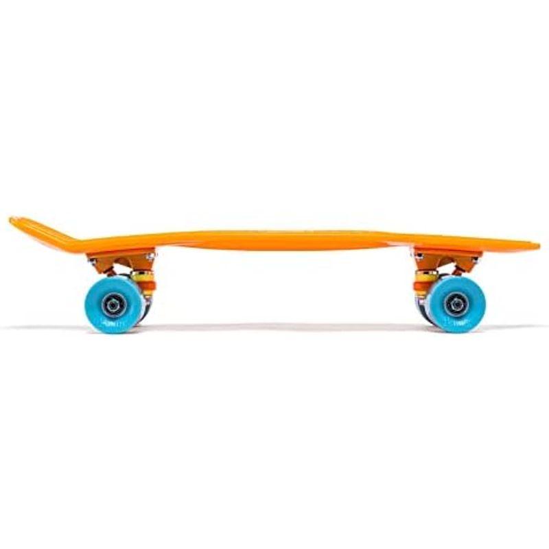 PENNY skateboard(ペニースケートボード)22inch CLASSICS BERRY MIX(ベリーミックス) 0PCL9-2｜etotvil2｜12