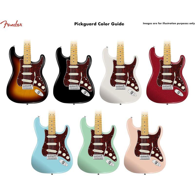 Fender ギターパーツ Pre-Wired Strat Pickguard, Vintage Noiseless SSS, Tortoi｜etotvil2｜05